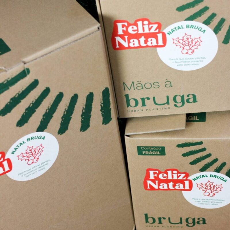 Natal - Bruga