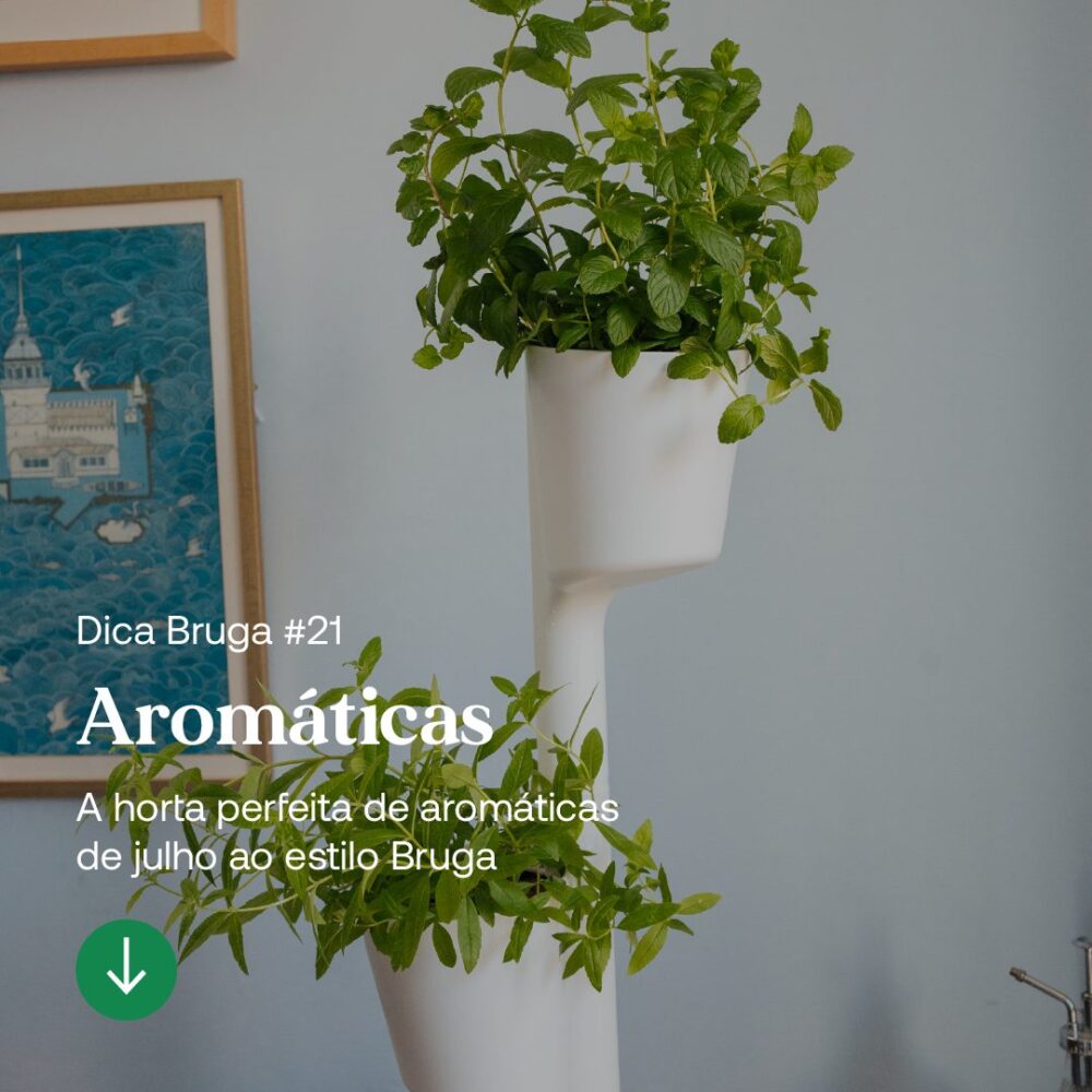 artigo-21-bruga-1