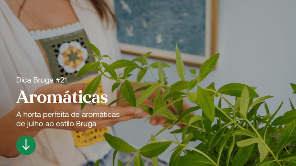artigo-21-bruga-2