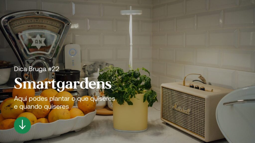 artigo-bruga-smartgardens-2