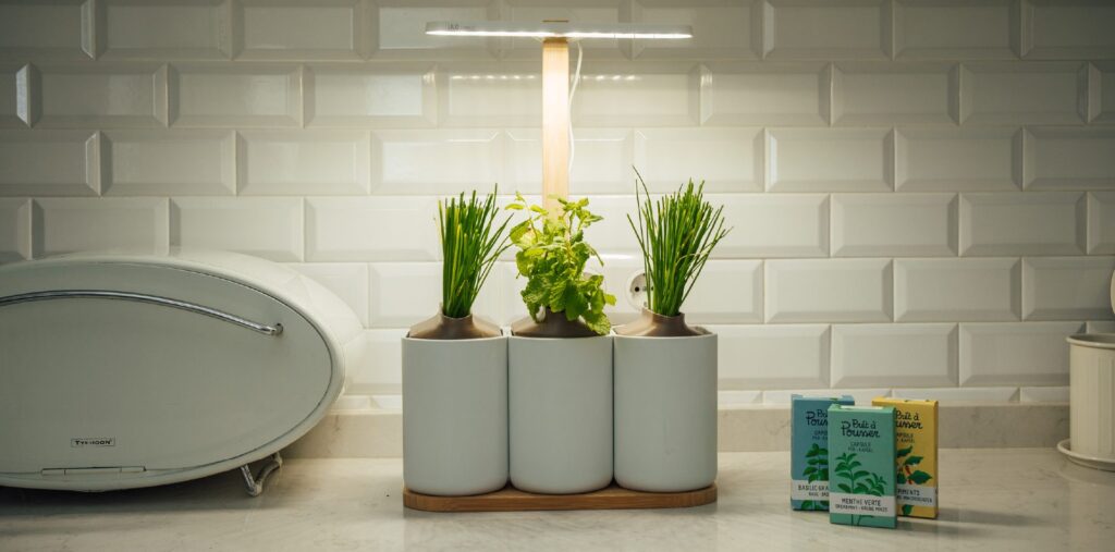 artigo-bruga-smartgardens-4
