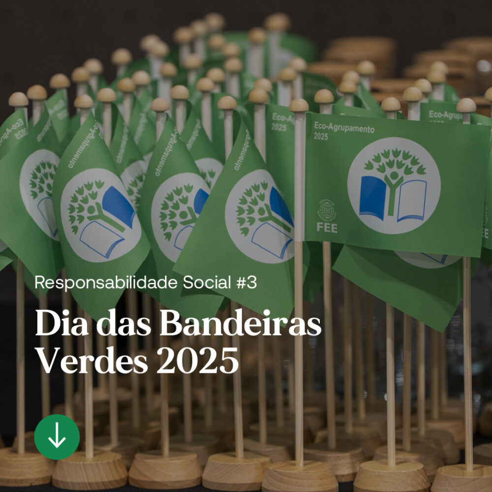 artigo_bruga_ecoescolas_1