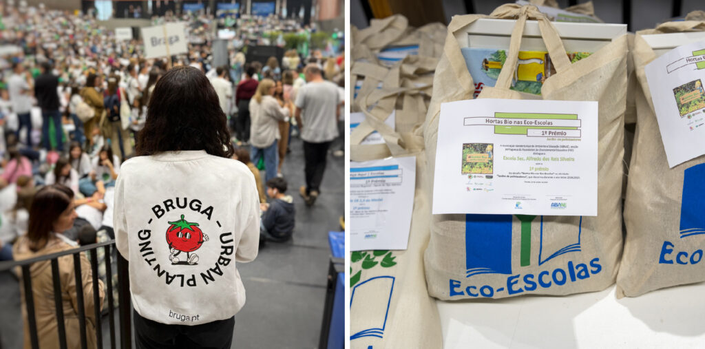 artigo_bruga_ecoescolas_4