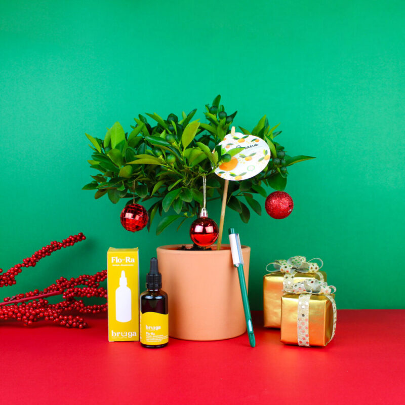 Pack-Natal-Bruga-Citrina-4