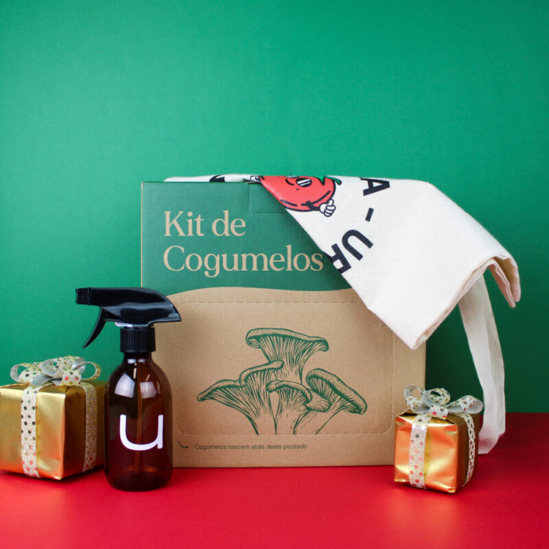 Pack-Natal-Bruga-Cogumelos-2