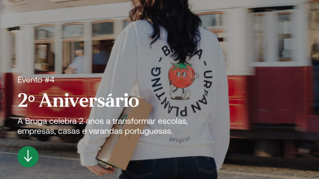 artigo-bruga-2-aniversário-2