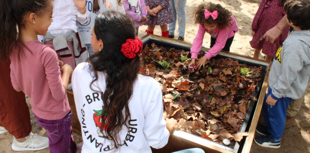 artigo-bruga-2-aniversário-4