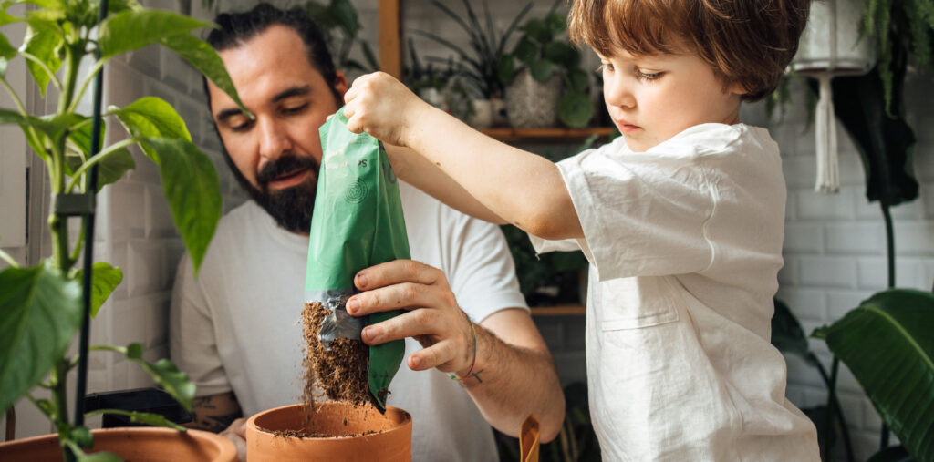 artigo-bruga-dica-28-3