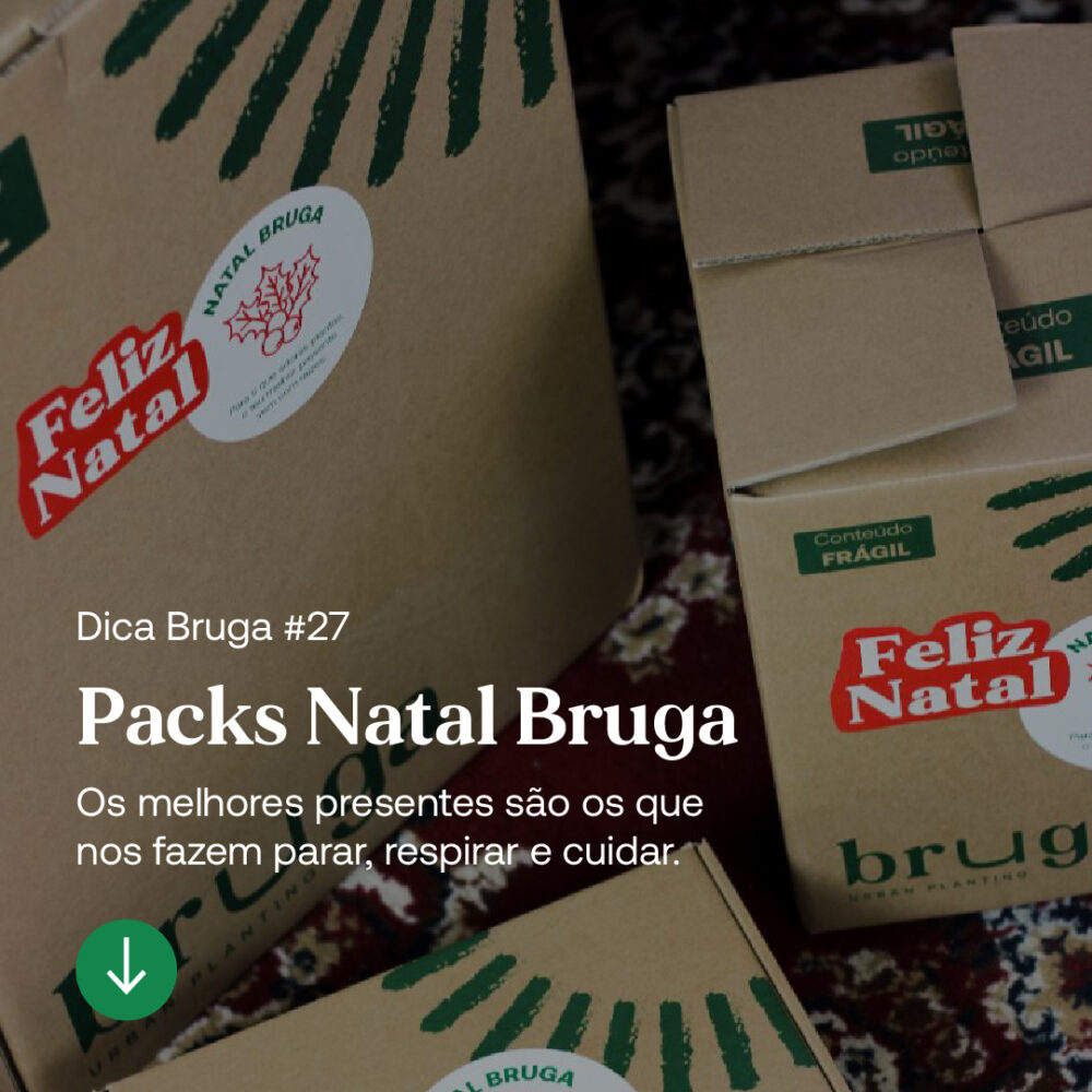 artigo-bruga-packs-natal-25-1