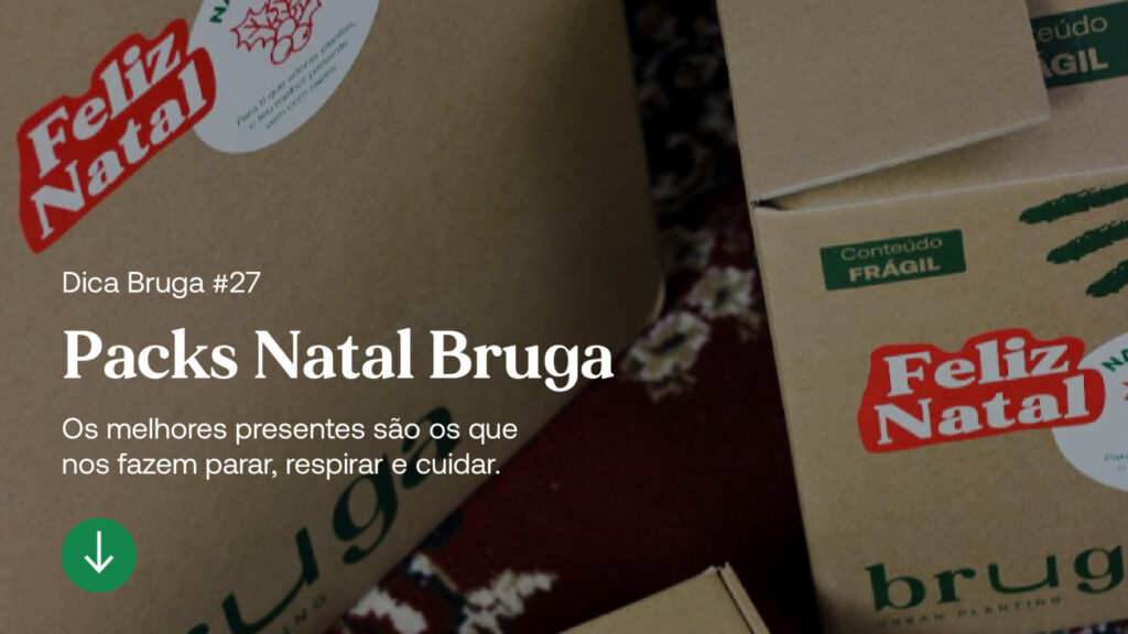 artigo-bruga-packs-natal-25-2