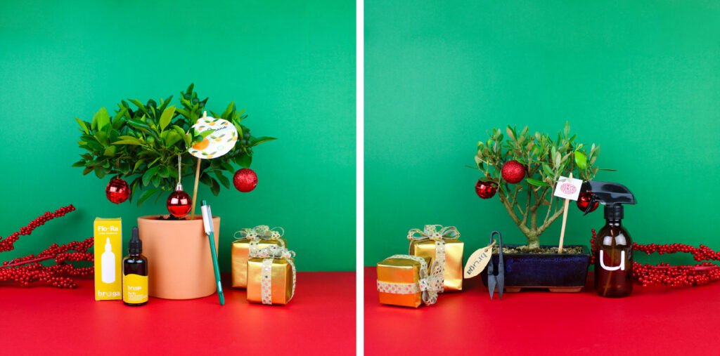 artigo-bruga-packs-natal-25-4